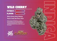 Seed Junky - 1g Preroll - Wild Cherry