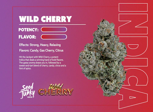 Seed Junky - 1g Preroll - Wild Cherry