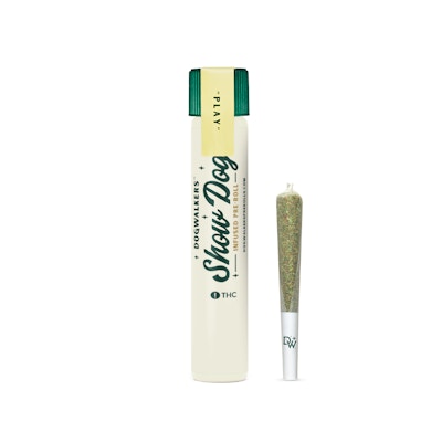 Product GTI Big Dogs Infused Preroll - Super Silver Cookies 1g