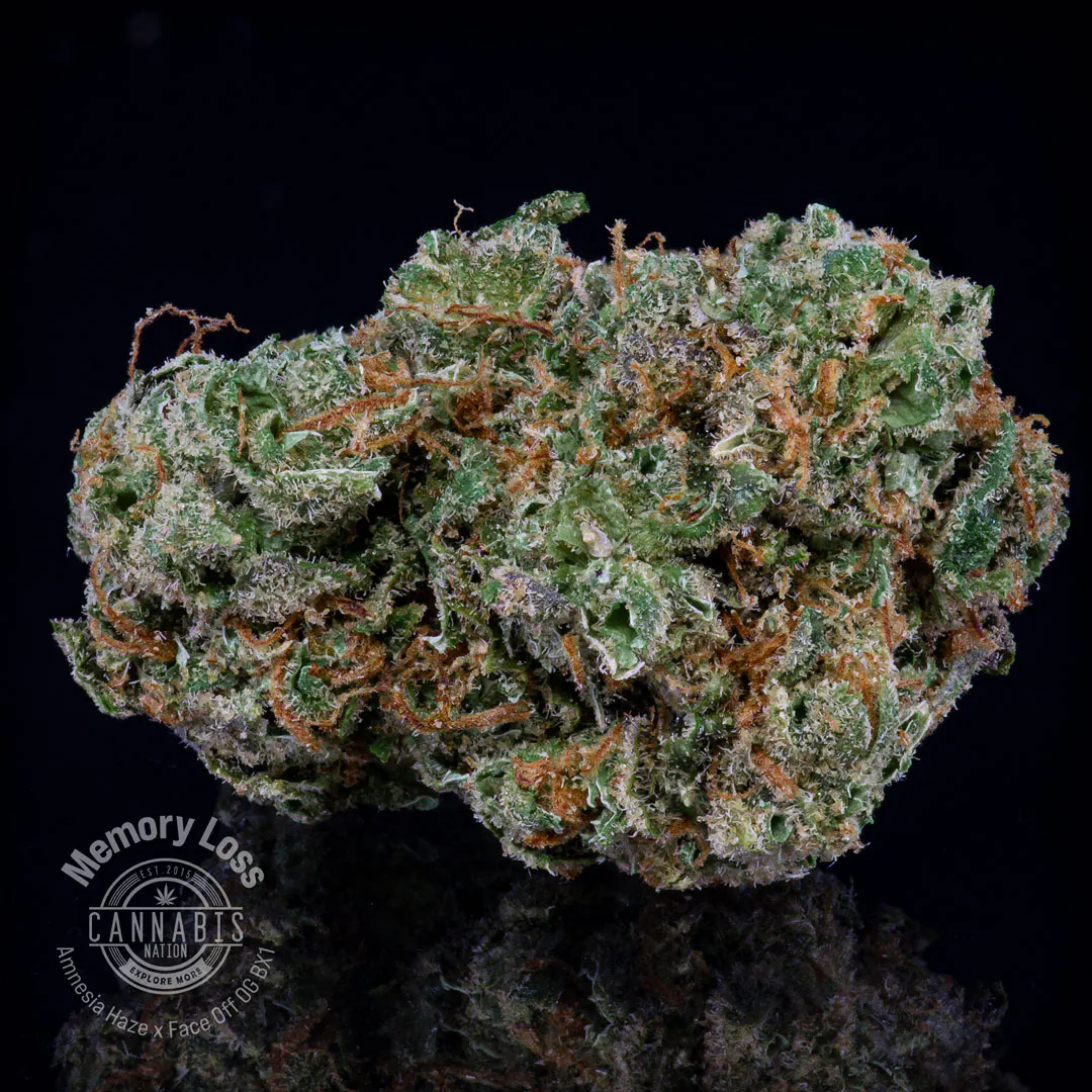 $99 | Pre-Packaged Oz | Memory Loss | Cannabis Nation (Sunriver)