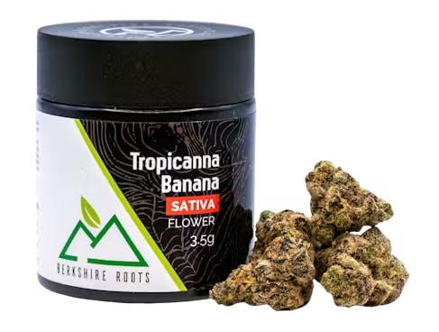 Product Berkshire Roots | Tropicana Banana | Flower | 3.5g