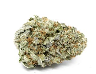 Double Baked Cake | Smalls | High Grade at Bloom City Club - Ypsilanti