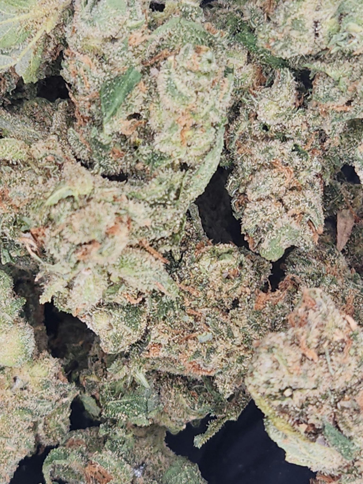 Product: Fresh Canna | Bulk Bud - Super Lemon Haze