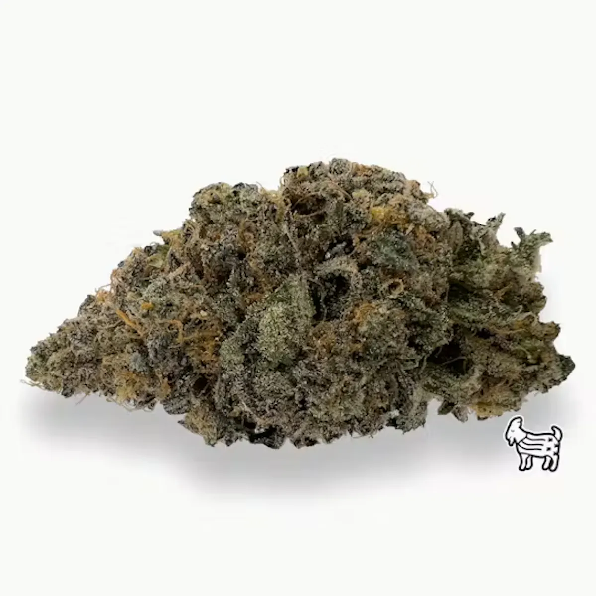 Silver Shelf – Pyxy Styx (H) 1g Flower