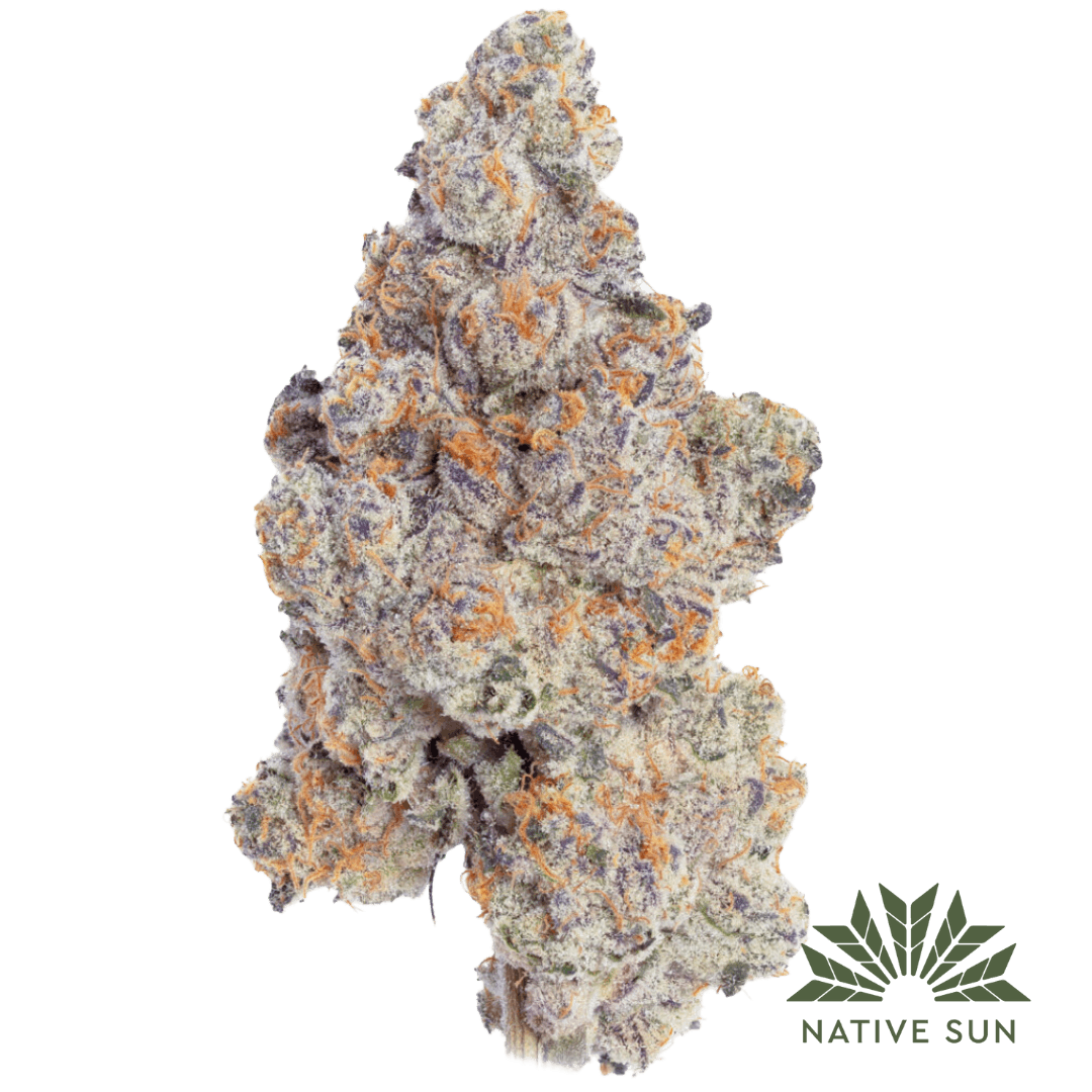 Watermelon Haze F2 – 3.5g Flower -Native Sun | 1/8oz Flower