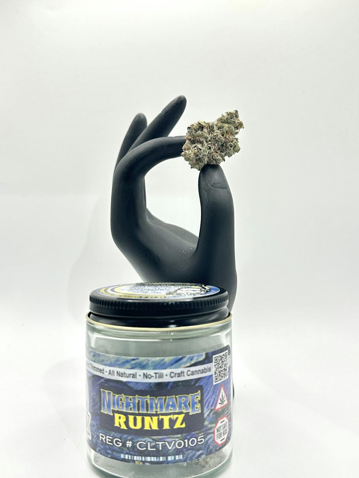 Photo of NIGHTMARE RUNTZ