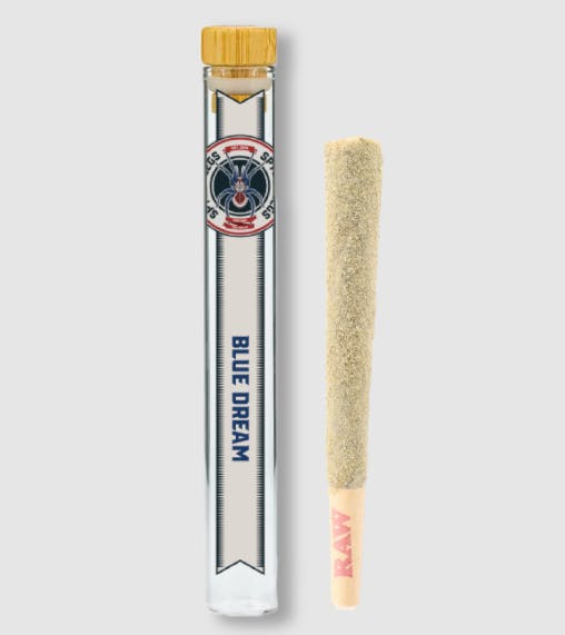 Product: Blue Dream | 1.25g | Infused | Spyder Legs