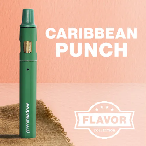 elfbar elfa kaufen Caribbean Crush Nic Salt E-Liquid