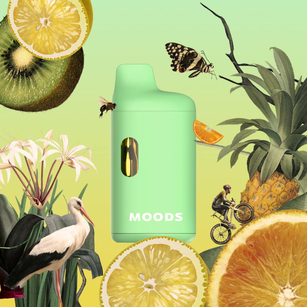 Product Moods | Everglade Haze | Distillate | AIO | 1g