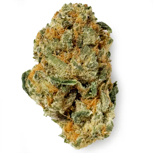 Voyage Bloom Sugar Rainbow Luxe Prepack Rec-active