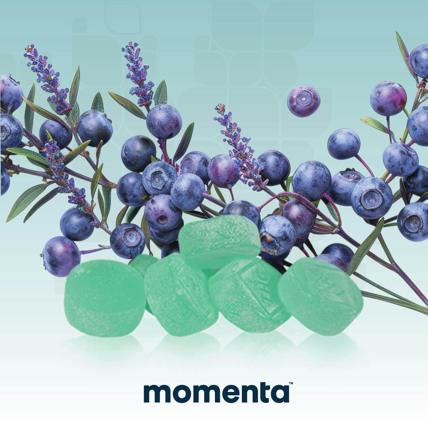 Blueberry Lavender Troches [1:1 THC:CBN] 10ct/20mg