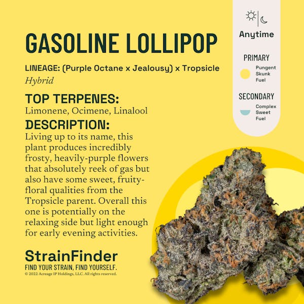 Gasoline Lollipop (H) - 3.5g - The Botanist