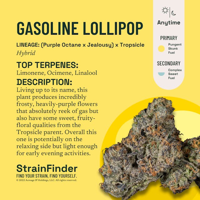 Gasoline Lollipop (H) - 3.5g - The Botanist - Image 1