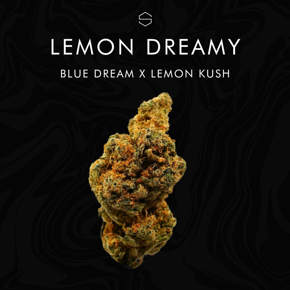 The Standard: Flower | Lemon Dreamy | GDF - Buffalo