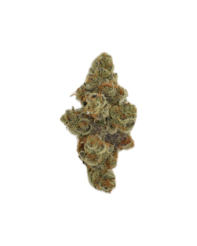 Product Health Circle - Glitter Bomb Bulk Flower