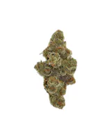 Product Health Circle - Glitter Bomb Bulk Flower