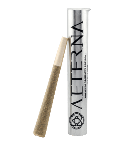 Papaya Cake | Single