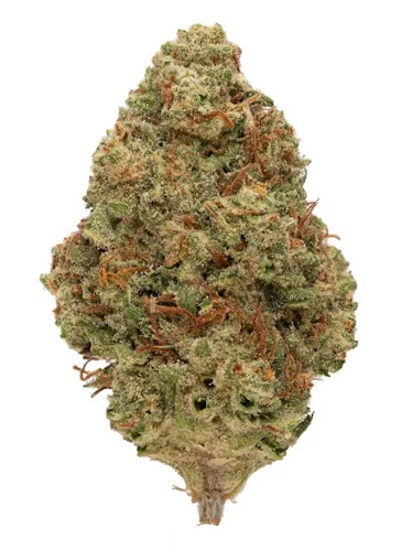 Rolling Green | Jar | Poptart | 3.5g-1