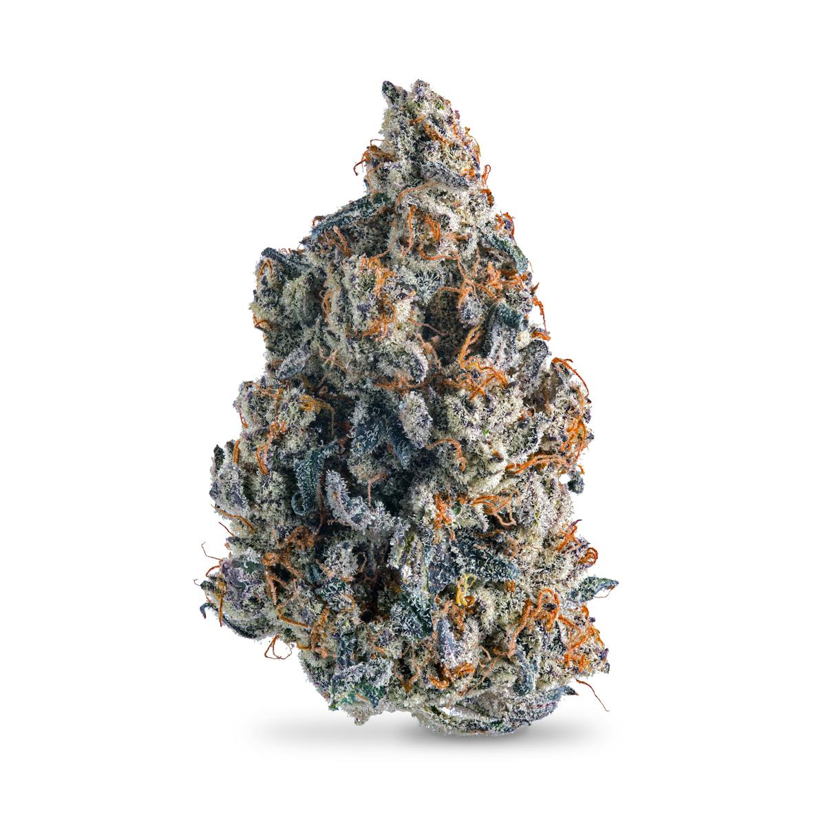 Photo of Tropical Infusion