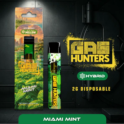 Gas Hunters - 2g Disposable - Miami Mint - DISPOSABLES by Gas Hunters at King of Budz