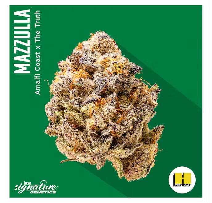 Insa - Flower 14g - Mazzulla