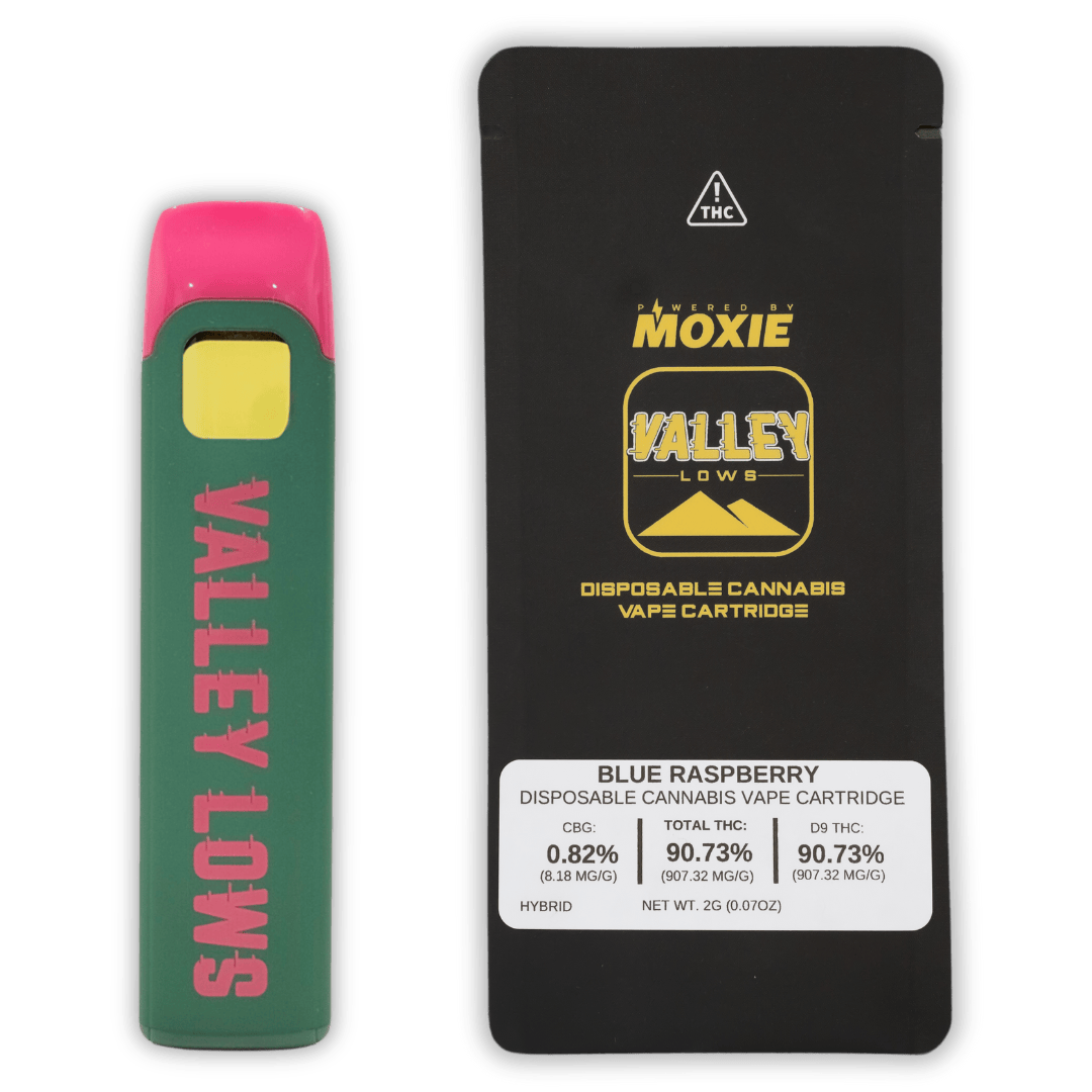 Blue Raspberry | Disposable