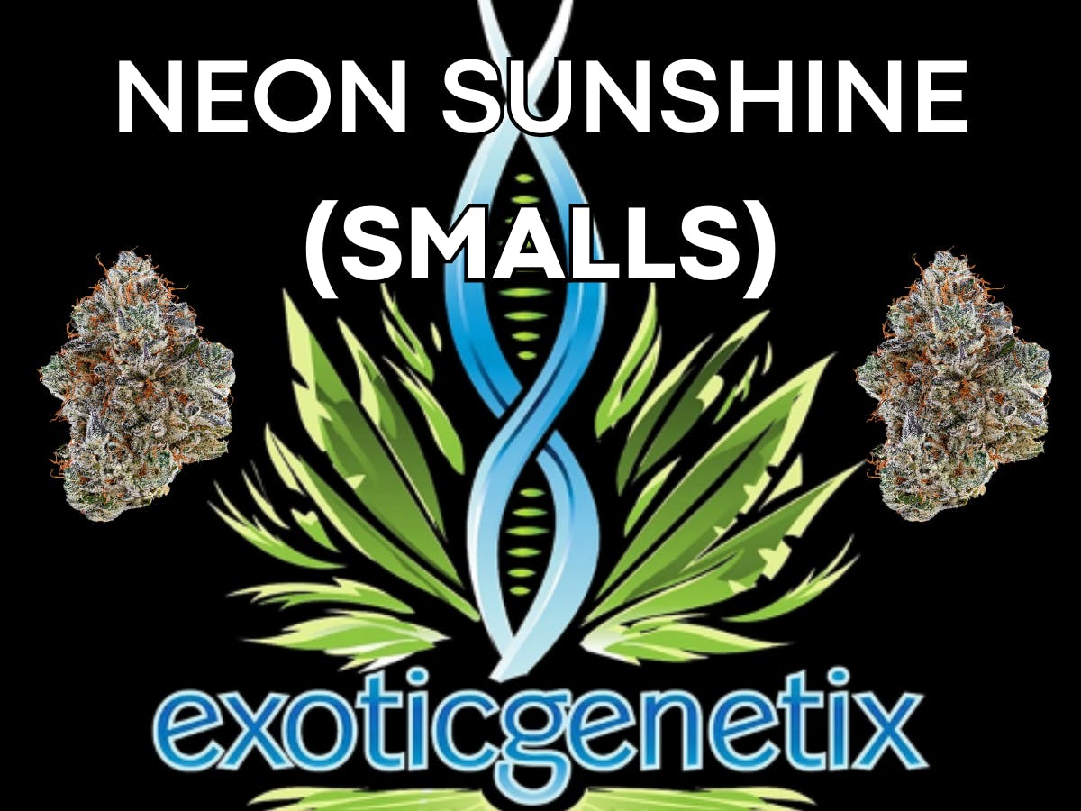Product: EXOTIC GENETIX | NEON SUNSHINE | SMALLS | BULK | HYBRID