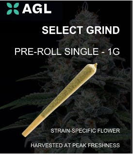 AGL 1g Select Grind Pre Roll Hybridol AD 22833 H 1pk