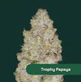 Botanist: Trophy Papaya - 2.83g