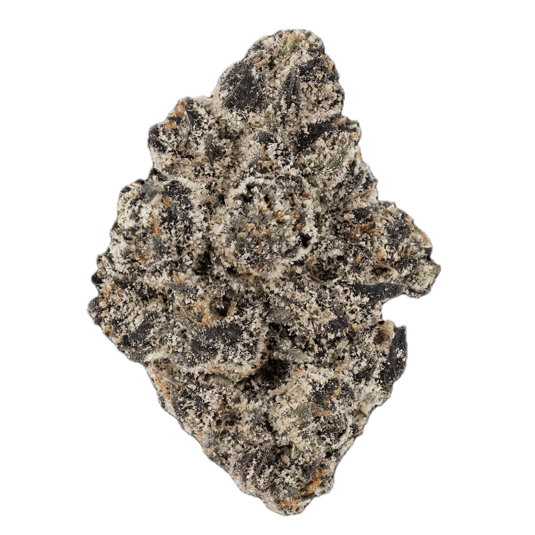 Bowhouse BOW HOUSE | POPZ 41 | BULK | HYBRID — FLOWER