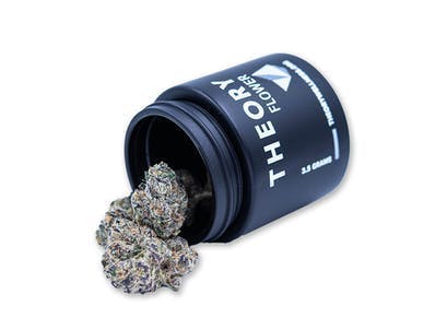 Super Silver Haze (October ‘24 Harvest) | Theory Wellness (South 
