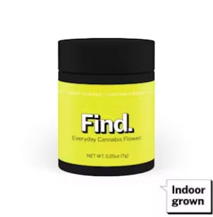 Jayna's Sunshine | Flower