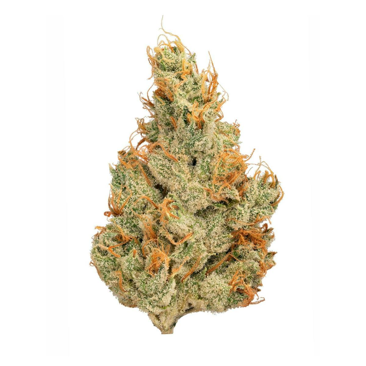 Image of Guava Tangie