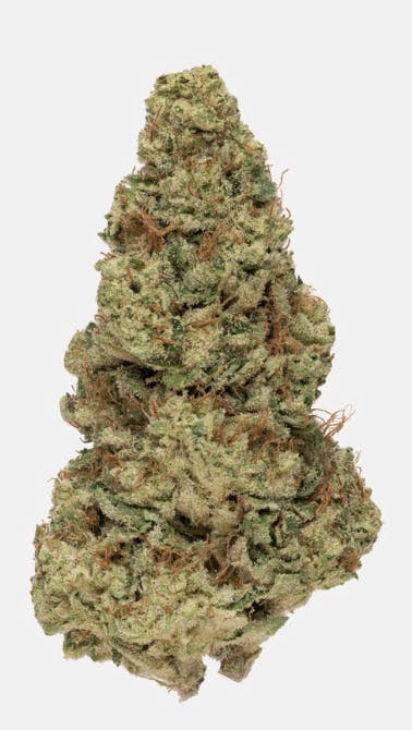 Rolling Green Cannabis Jar Flower | Jealousy-1