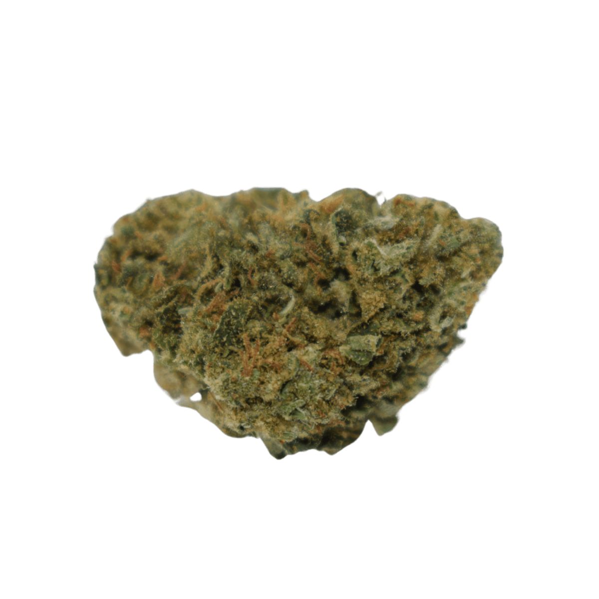 Image of Cookie Kush House Flower