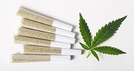 Pre-Rolls category image