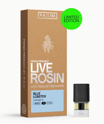 Live Rosin with Diamonds | Purple Afghani 1g | Pod-2