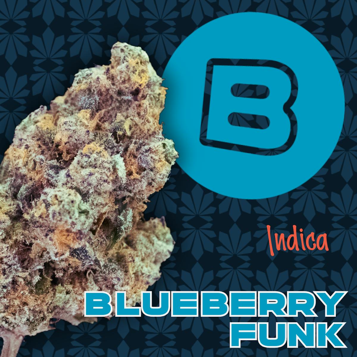 Photo of Blueberry Funk
