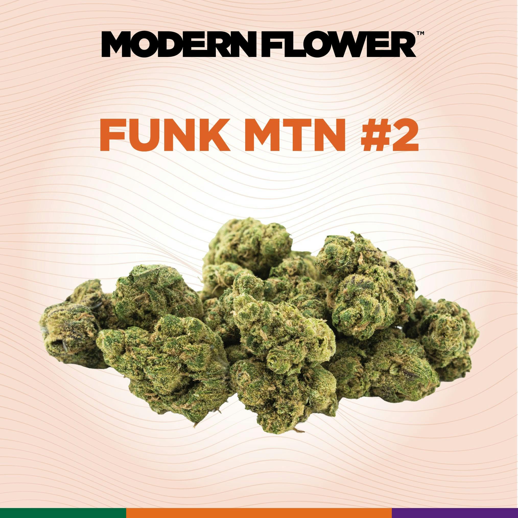 Modern Flower: Funk MTN #2 Smalls | Trulieve