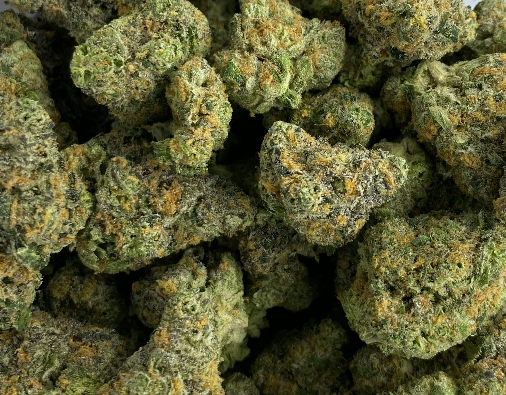 Hytek - Flower - Los Muertos 10
