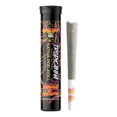 vapen zahnfleisch elfbar elfa master akku Vapen Nach Zähne Putzen