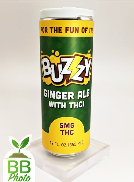 Ginger Ale (H) - 5mg Soda - Buzzy - Image 2