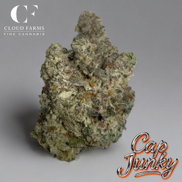 Product: Cloud Farms | Bulk Bud - Cap Junky