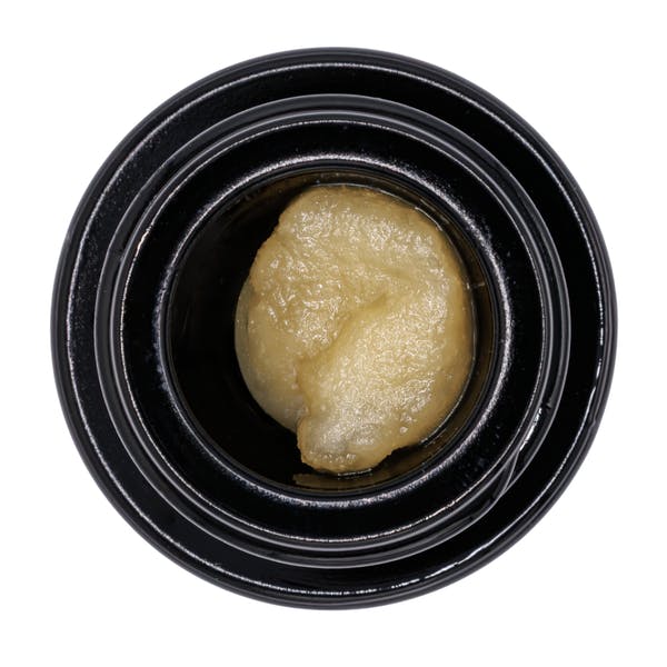 Umamii | Cured Resin Jar | Field Notes