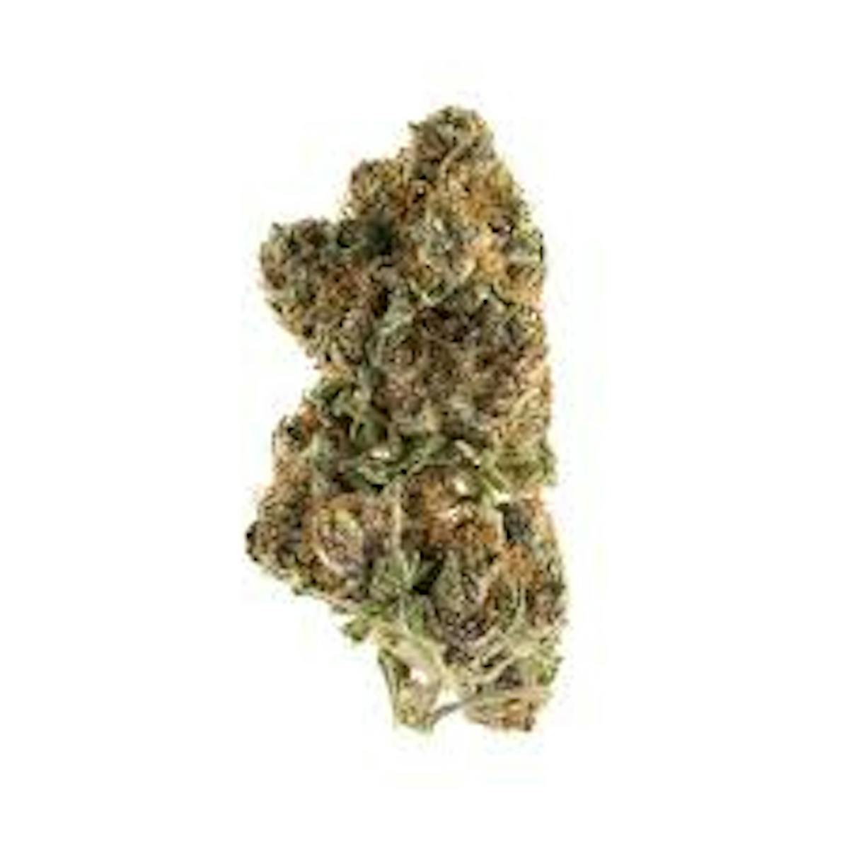 Image of Mimosa | 1g Flower