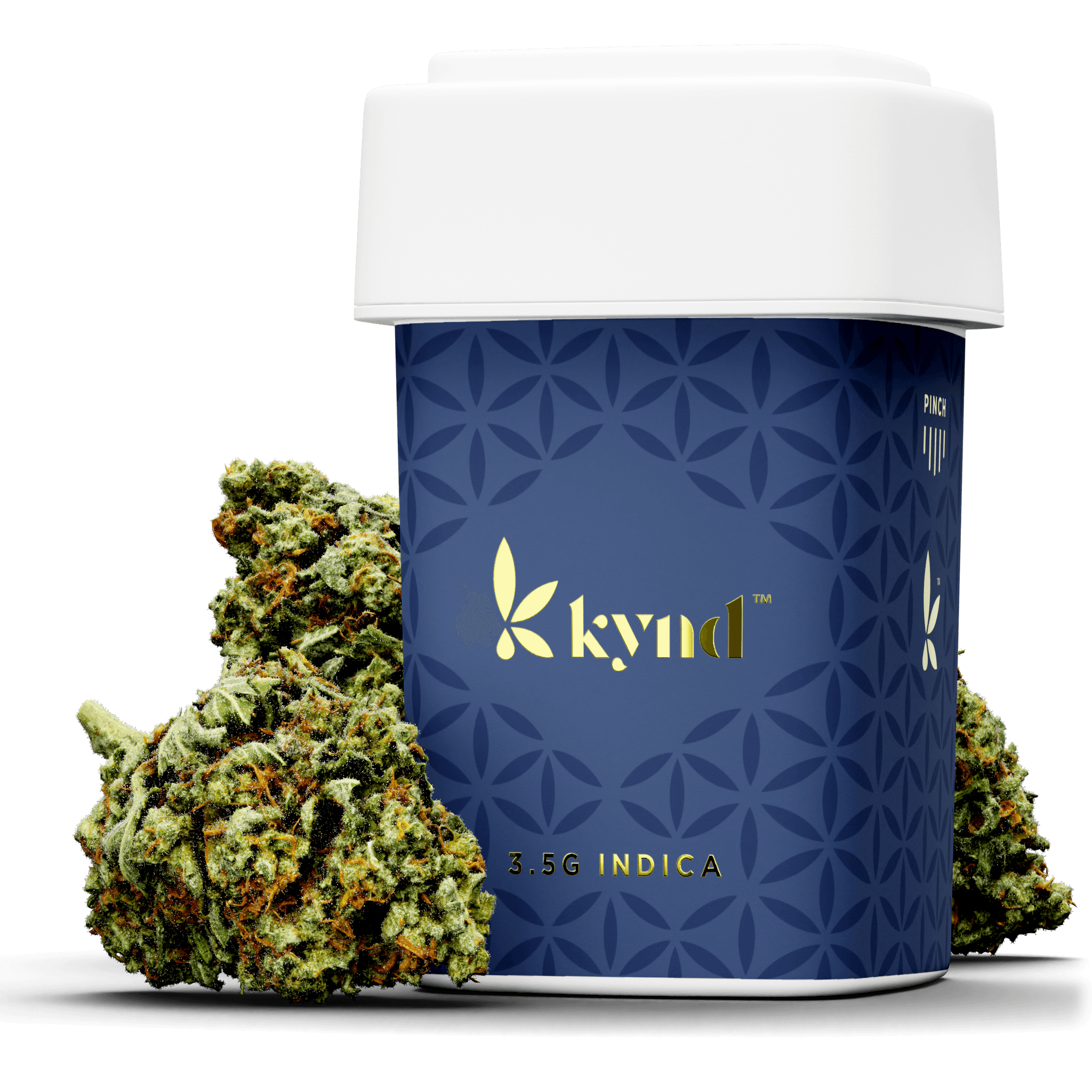 Ayr Cannabis Dispensary Spring Hill Photos Shop head.hesge.ch