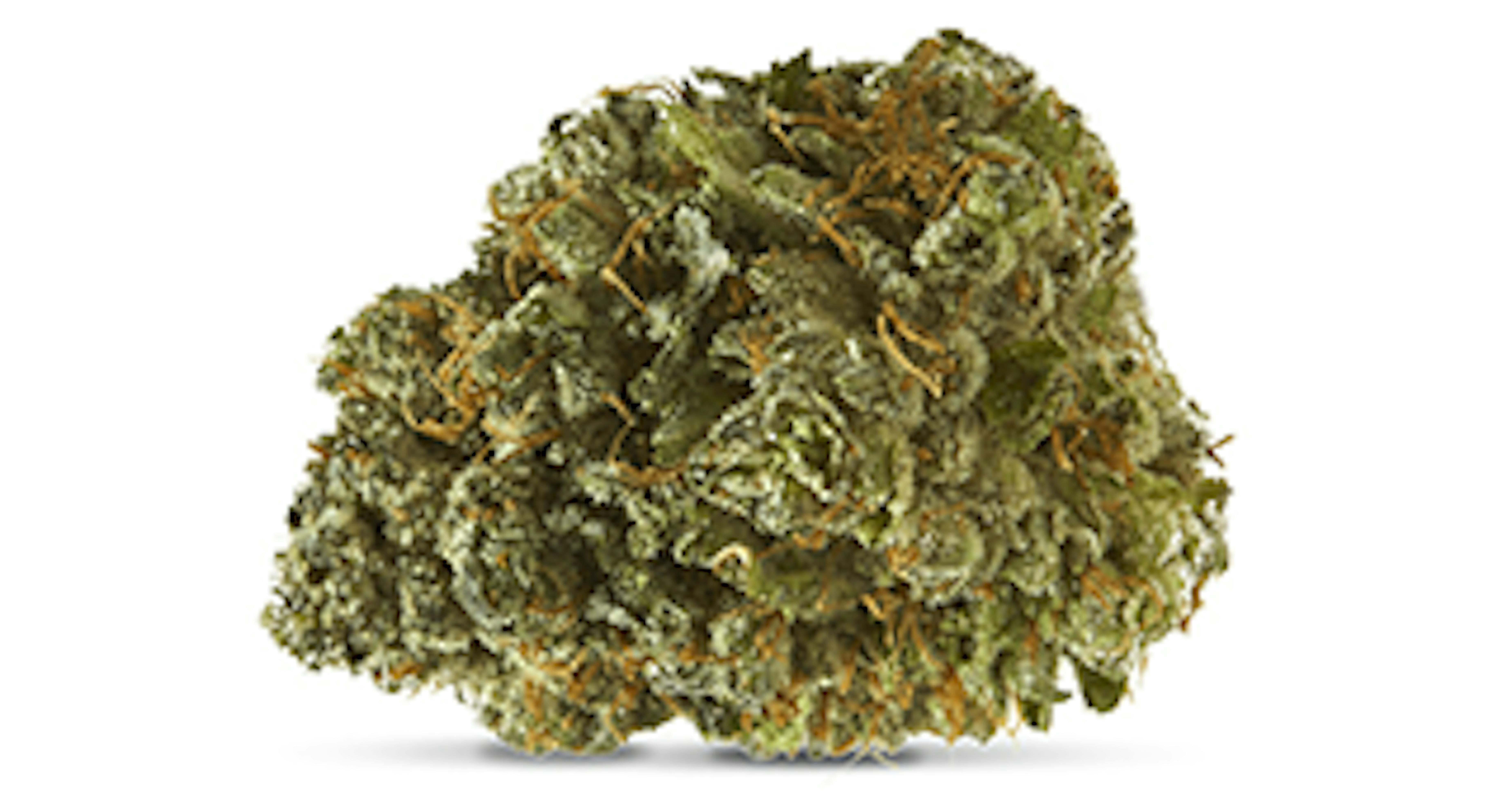 Urb Dispensary - x7rbiar