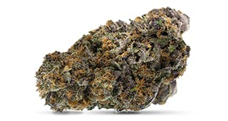 Cannabis Budder | Holyoke Cannabis Dispensary - Holyoke