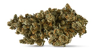 Bloc – South Jordan - Cannabis Dispensary, South Jordan UT