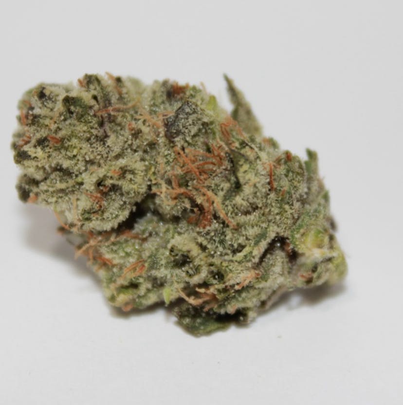 Specimen X | Flower | 3.5g by Roemer | Buy Online | Treehouse